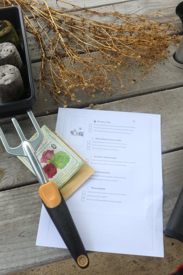 Vegetable garden transplants being planted - common garden planning mistakes to avoid